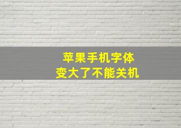 苹果手机字体变大了不能关机