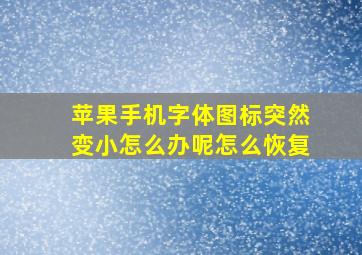 苹果手机字体图标突然变小怎么办呢怎么恢复