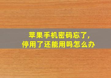 苹果手机密码忘了,停用了还能用吗怎么办