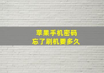 苹果手机密码忘了刷机要多久