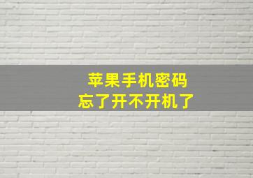 苹果手机密码忘了开不开机了