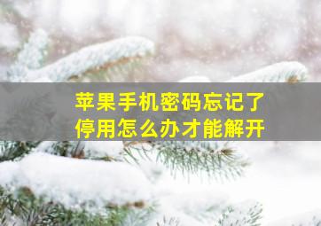 苹果手机密码忘记了停用怎么办才能解开