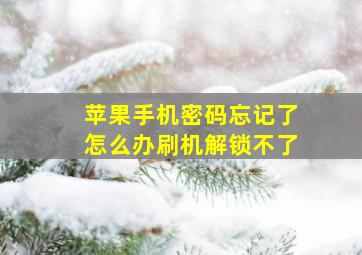 苹果手机密码忘记了怎么办刷机解锁不了