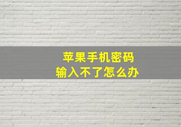 苹果手机密码输入不了怎么办