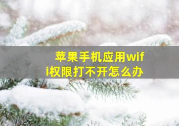 苹果手机应用wifi权限打不开怎么办