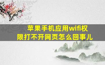 苹果手机应用wifi权限打不开网页怎么回事儿