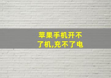 苹果手机开不了机,充不了电