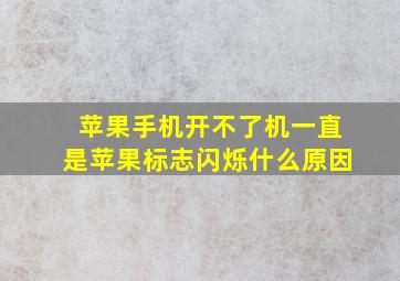 苹果手机开不了机一直是苹果标志闪烁什么原因