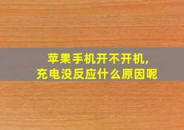 苹果手机开不开机,充电没反应什么原因呢