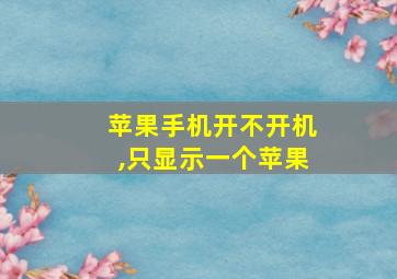 苹果手机开不开机,只显示一个苹果