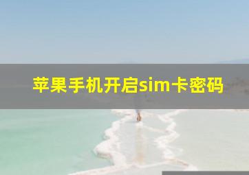 苹果手机开启sim卡密码