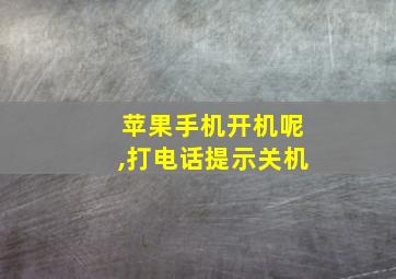 苹果手机开机呢,打电话提示关机