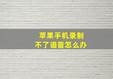 苹果手机录制不了语音怎么办