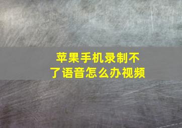 苹果手机录制不了语音怎么办视频