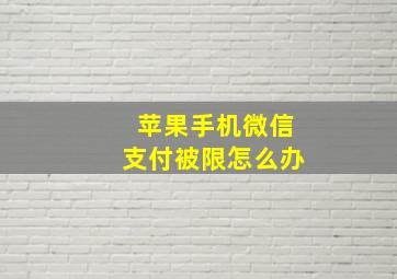 苹果手机微信支付被限怎么办