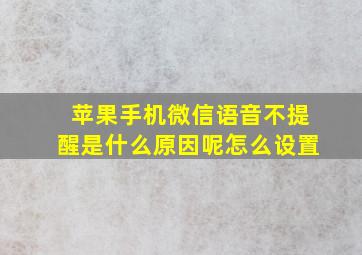 苹果手机微信语音不提醒是什么原因呢怎么设置