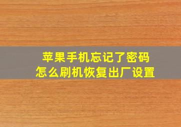 苹果手机忘记了密码怎么刷机恢复出厂设置