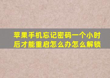 苹果手机忘记密码一个小时后才能重启怎么办怎么解锁