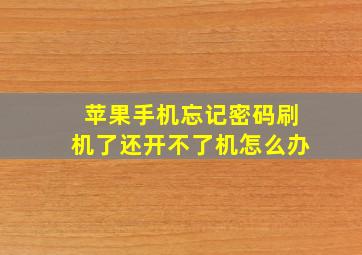 苹果手机忘记密码刷机了还开不了机怎么办