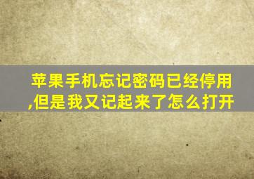 苹果手机忘记密码已经停用,但是我又记起来了怎么打开