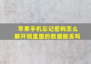 苹果手机忘记密码怎么解开锁里面的数据能丢吗