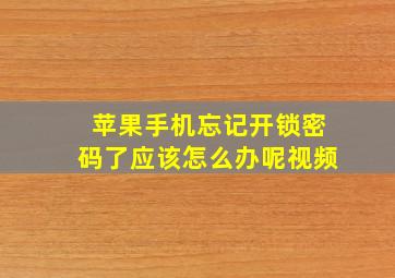 苹果手机忘记开锁密码了应该怎么办呢视频