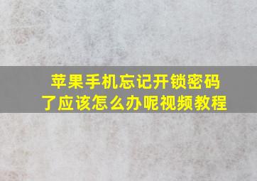 苹果手机忘记开锁密码了应该怎么办呢视频教程