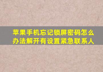 苹果手机忘记锁屏密码怎么办法解开有设置紧急联系人