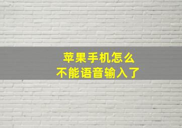 苹果手机怎么不能语音输入了