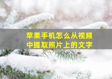 苹果手机怎么从视频中提取照片上的文字