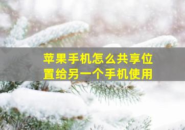 苹果手机怎么共享位置给另一个手机使用