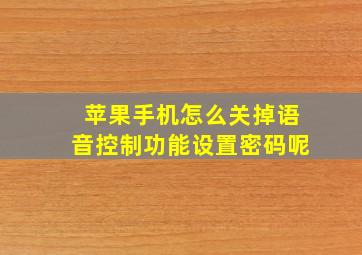 苹果手机怎么关掉语音控制功能设置密码呢