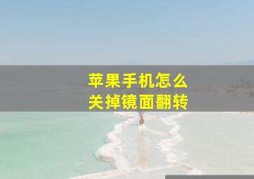 苹果手机怎么关掉镜面翻转