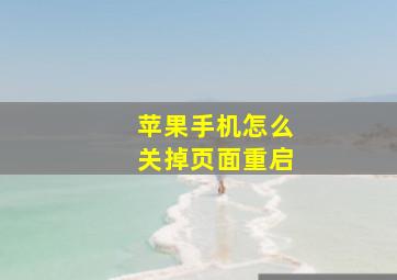 苹果手机怎么关掉页面重启