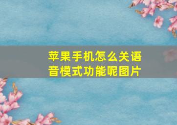 苹果手机怎么关语音模式功能呢图片