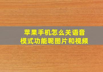 苹果手机怎么关语音模式功能呢图片和视频