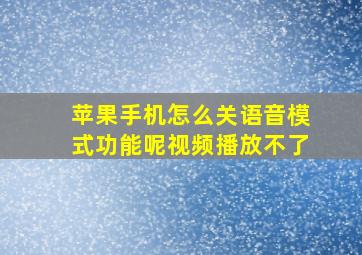 苹果手机怎么关语音模式功能呢视频播放不了