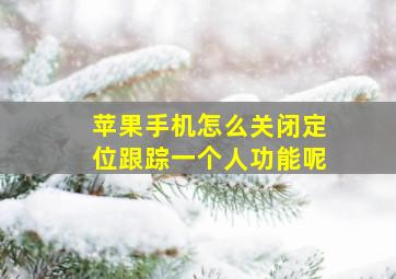 苹果手机怎么关闭定位跟踪一个人功能呢