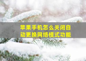 苹果手机怎么关闭自动更换网络模式功能