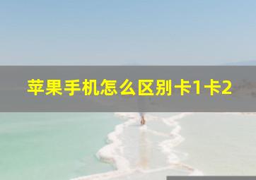 苹果手机怎么区别卡1卡2