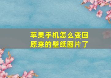 苹果手机怎么变回原来的壁纸图片了