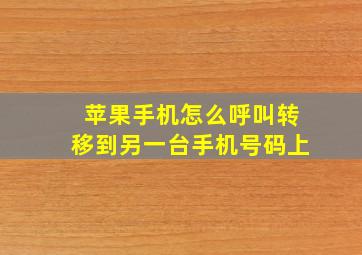 苹果手机怎么呼叫转移到另一台手机号码上