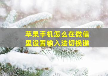 苹果手机怎么在微信里设置输入法切换键