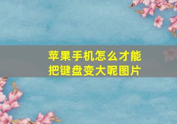 苹果手机怎么才能把键盘变大呢图片