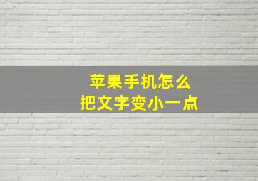 苹果手机怎么把文字变小一点