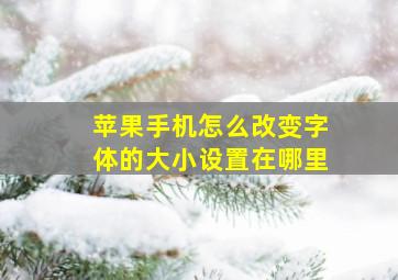 苹果手机怎么改变字体的大小设置在哪里