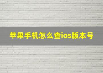 苹果手机怎么查ios版本号