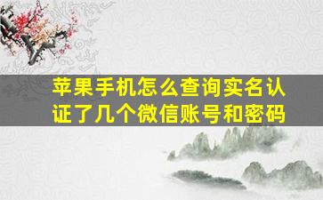 苹果手机怎么查询实名认证了几个微信账号和密码