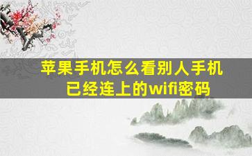 苹果手机怎么看别人手机已经连上的wifi密码