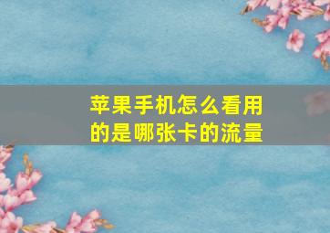 苹果手机怎么看用的是哪张卡的流量